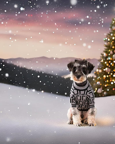 Everything Chic Luxury Dog Sweater – Soft Knit Designer Pet Outfit for Small Dogs & Puppies, XS–L, Stylish Warm Clothing for Yorkies, Chihuahuas, Dachshunds, Maltese, French Bulldog
