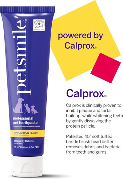petsmile Professional Pet Teeth Brushing Kit for Cats & Dogs - VOHC Accepted Toothpaste & Patented Toothbrush - Proven to Control Plaque & Tartar Calprox Formula (London Broil, 4.2 Oz)