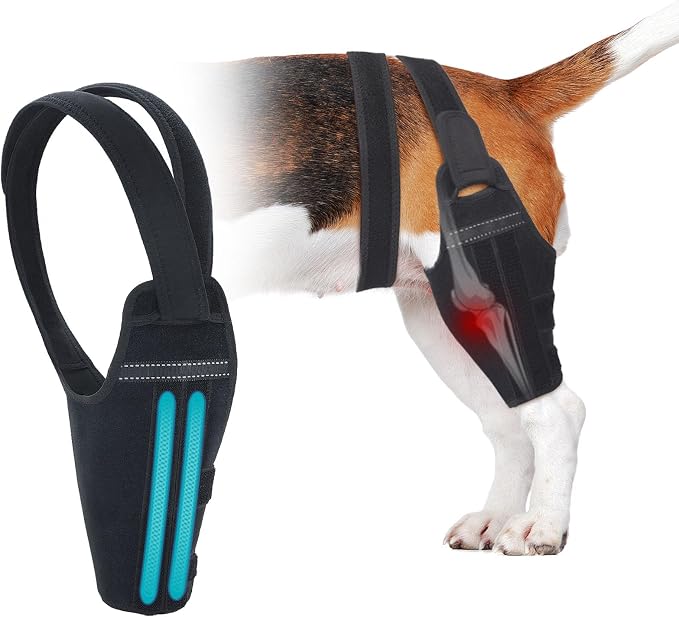 Dog Knee Brace for Torn ACL Hind Leg – Support Dog Leg Brace for Back Leg with 2 Stabilizers, Adjustable Hip Support to Reduces Pain Luxating Patella, Ligament Injuries, CCL (Right Leg, S)