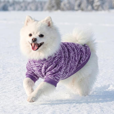 3 Pack Dog Sweaters for Small Dogs Girl Boy Winter Fleece Clothes Warm Soft Dog Sweatshirt Outfit for Dogs Cats Pet Apparel