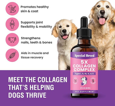 Premium Collagen for Dogs - Liquid Support for Joints, Skin, Coat, Bone, Immune System & HIPS - Collagen Supplement - Made in USA - 2oz