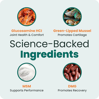 VetriScience Extra Strength Healthy Hip & Joint Chews, GlycoFlex Glucosamine & Green-Lipped Mussel Support Supplement for Dogs, Promote Mobility & Soothe Joint Discomfort, Chicken, 3 Pack