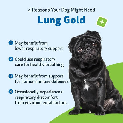 Pet Wellbeing Lung Gold for Dogs & Cats - Vet-Formulated - Lung & Respiratory Immune Support, Open Airways, Easy Breathing - Natural Herbal Supplement 4 oz (18 ml)