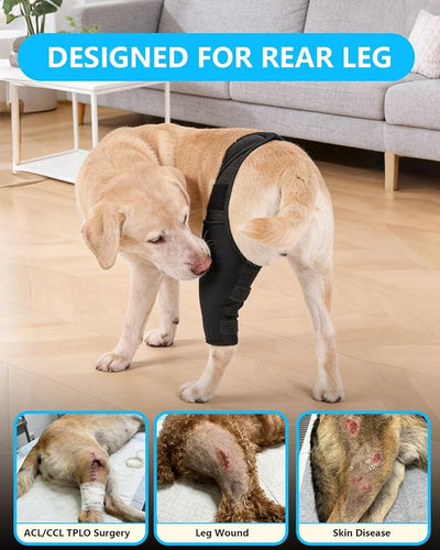 Dog Rear Leg Sleeve to Prevent Licking - Reusable Dog Surgery Recovery Suit with Adjustable Velcro, Breathable Comfortable Recovery Sleeve for Hot Spots & Wounds, Cone Alternative (L Size)