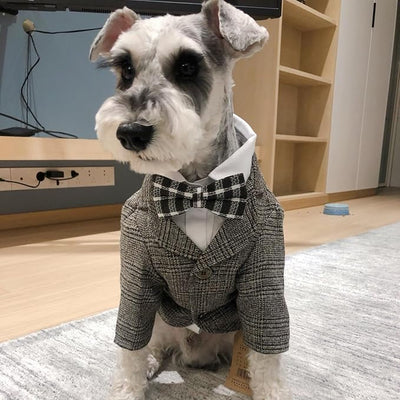 Dog Clothes Pet Plaid Suit Dog Tuxedo Costumes, Formal Gentleman Apparel Vest, Wedding Party Birthday Wear French Bulldog Pug Teddy Terrier (M, Brown Coat)