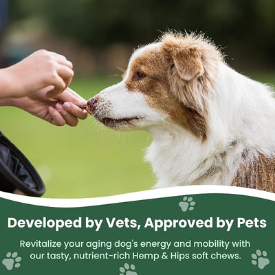 Veterinary Naturals Hemp & Hips Senior Large Breed Dog Joint Chews - 60ct | Vet-formulated joint support soft chews built specifically for aging large breed dogs.