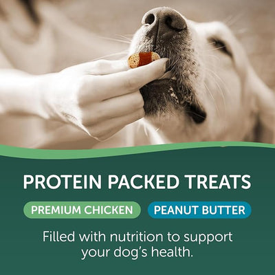 HEALTHFULS Chicken & Peanut Butter Flavored Dog Biscuits,16oz,(Pack of 2)