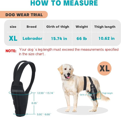 Dog Knee Brace for Torn ACL Hind Leg – Support Dog Leg Brace for Back Leg with 2 Stabilizers, Adjustable Hip Support to Reduces Pain Luxating Patella, Ligament Injuries, CCL (Right Leg, XL)