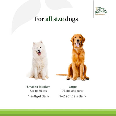 Terry Naturally Curacel Curcumin - Health Supplement for Dogs - Pet Curcumin Dog Supplies - Cellular Health Supplement with Antioxidants - 60 Softgels