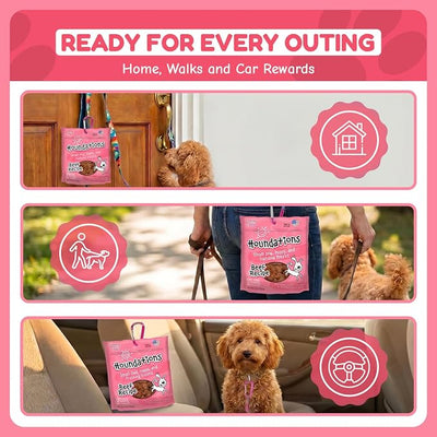 Loving Pets Houndations Beef Dog Training Treats | All Natural | 2.6 Calories Per Treat | Grain-Free, Wheat-Free, Gluten-Free & Corn-Free | For Small Dogs & Puppies, 4 oz