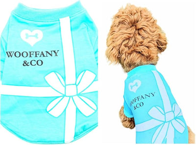 Luxury Designer Dog T Shirt – Cute Puppy Clothes for Small Dogs, Fashion Pet Tee Outfit for French Bulldogs & Chihuahuas, Everything Chic Dog Apparel