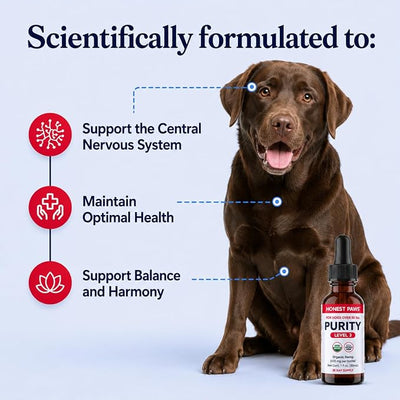 Honest Paws Hemp Oil for Dogs - Natural Hemp Seed Oil Drops Rich in Omega 3 6 9 - May Help Support Calm Behavior, Physical Comfort & Overall Wellness - Made in USA
