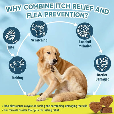 Flea and Tick Prevention for Dogs Itching Skin Relief, 200 Chewable Flea and Tick for Dog with Skin & Coat Support, Itch Relief for Dogs, Oral Supplement for All Breeds & Ages, Chicken Flavor