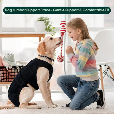 Dog Back Brace for IVDD Recovery, Adjustable Dog Spine Support Harness for Dachshund Corgi French Bulldog Pug, Pain Relief Back Protector for Senior,Post‑Surgery,Long‑Bodied & Overweight Dogs, XS
