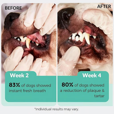 ZEBORA Dog Teeth Cleaning Powder - Dog Breath Freshener Dental Powder, Targets Bad Breath, Plaque Off & Tartar Remover, Natural Dental Care for Healthy Gums, 180g