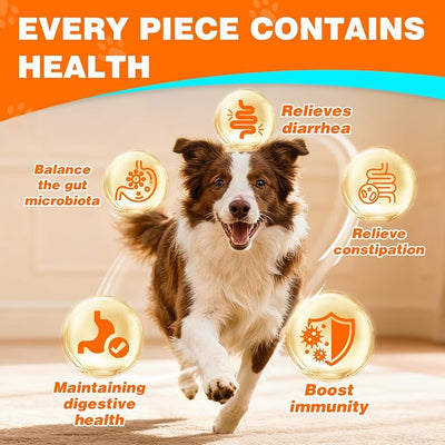 Probiotics for Dogs Dog Probiotics for Digestive Health Probiotic for Dogs Gut Health Itchy Skin Dog Probiotics for Diarrhea Dog Constipation Relief Gas for Dogs Immune Support Chicken Flavor 50ct