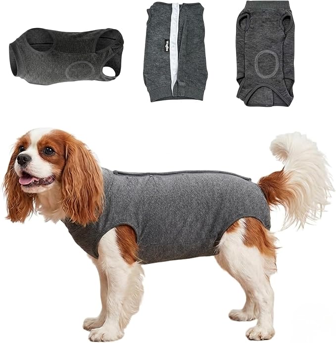 Dog Recovery Suit for Puppy & Small Dogs – Soft Cotton Anti-Lick Onesie, E-Collar Alternative for Abdominal Healing, Back Length 10-12" (Size S) – Please Check Size Chart Before Buying
