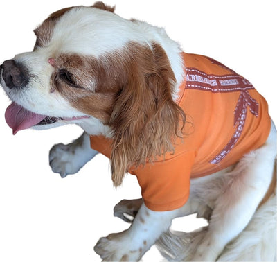 Everything Chic Luxury Designer Dog T Shirt – Cute Puppy Clothes for Small Dogs, Fashion Pet Tee Outfit for French Bulldogs & Chihuahuas, Everything Chic Dog Apparel Large Hairmes