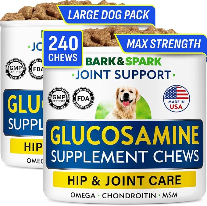 Glucosamine Chondroitin Dog Hip & Joint Supplement - Joint Pain Relief - Hip & Joint Chews for Dogs - Joint Support Large Breed - Senior Doggie Vitamin Pills Joint Health - (240 Treats - Bacon)