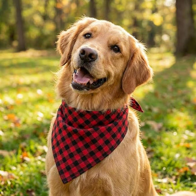 Cotton Linen Dog Bandanas 1 Pack, Plaid Checkered Bandana for Large Dogs, Soft Breathable Classic Dog Apparel & Accessories (Red Plaid, Large)