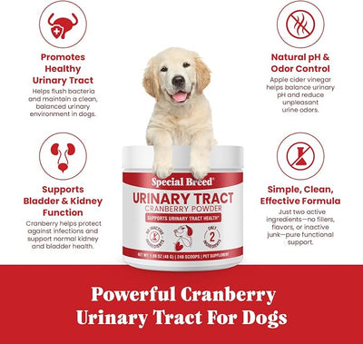 UTI & Urinary Tract Treatment for Dogs – Cranberry Powder for Bladder and Kidney Health – Helps Frequent Urination and Incontinence – Natural Dog UTI Support Supplement – Made in USA