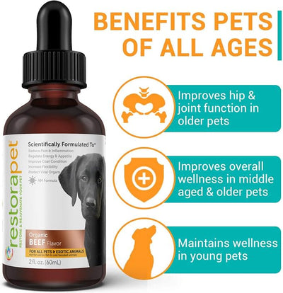 RestoraPet 4-Pack Dog & Cat Beef Liquid Multivitamin | Senior Pet Support | Hip & Joint Vitamins for Dogs - Anti Inflammatory Supplement for Dogs & Cats | Plant-Based & Non-GMO, Vet Approved