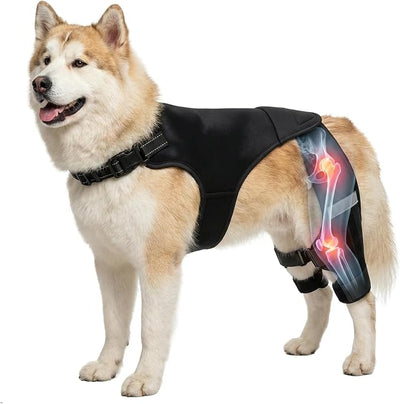 Dog Knee Braces for Torn ACL Hind Leg, Adjustable Dog Leg Braces for Back-Leg with Four Stabilizers for Luxating Patella Relieves Ligament Injury and Joint Pain (L)