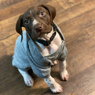 Jecikelon Soft Dog Hoodies for Small Dogs, Fleece Puppy Sweatshirt with Pockets, Warm Winter Cold Weather Coats for Pet Cat, Cute Clothes Puppy Costume (Grey, XX-Small)