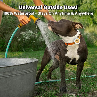Bug-Off Clip for Dogs, Repels Flea, Tick & Mosquito for 60 Days, Natural Flea and Tick Repellent Collar [Made in Korea] Aegis by KN FLAX (Heart)