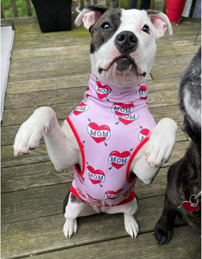 Pittie Clothing Pit Bull Muscle Tee for Dog Breed Dog Shirts Pet Printed Clothes Cool Funny