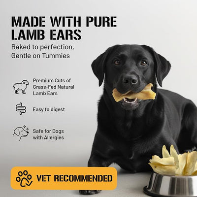 Dog Chits Lamb Ears for Dogs – 100% Natural Baked Lamb Ear Dog Treats – Grain-Free, High Protein, Lower Fat Training Chews – Dental Health & Joint Support – for Large, Medium Dogs – 25 Pack