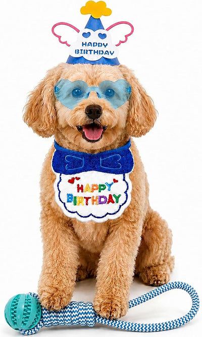Pet Birthday Outfit for Boy Dog & Cat, 34PCS Puppy Birthday Party Costume with Blue Birthday Hat, Heart Sunglasses & Bandana Bib, Cute Birthday Supplies for Dog Boy Party