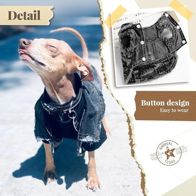 Cool Dog Jean Jacket Small Puppy Outfits Frenchie Clothes Denim Coats for Small Medium Dogs Cats Boys Girls Pet Vest Dog Shirt Clothing Doggy Costume (Black Print, XXL（Suggest 15-20 lbs）)