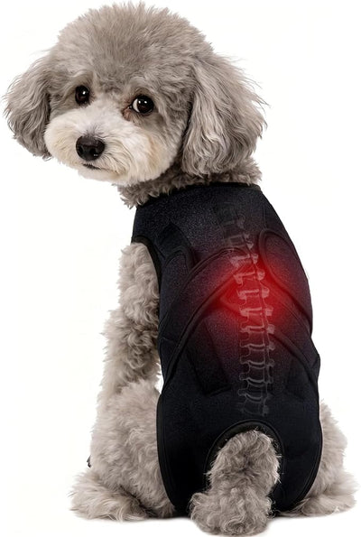 Dog Back Brace for IVDD Recovery, Adjustable Dog Spine Support Harness for Dachshund Corgi French Bulldog Pug, Pain Relief Back Protector for Senior,Post‑Surgery,Long‑Bodied & Overweight Dogs, XS