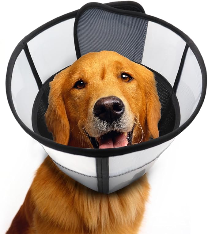 WinWeal Upgraded Soft Dog Cone Collar for Large Medium Dogs After Surgery – Adjustable Transparent Recovery Collar, Breathable Elizabethan E-Collar for Wound Healing & Anti-Licking (XXL, Black)