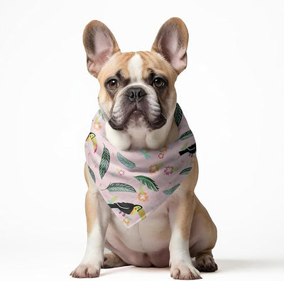 W Brings Bandana for Dogs | This Stunning Gorgeous Design Dog Bandana Scarf is Perfect Styling Accessory for Dogs Large, Medium & Small. One Size Fits All. (Medium - Large, Pink Toucan)