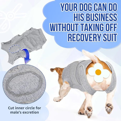 Lukovee Recovery Suit for Dogs, Zipper On Recovery Suit for Female Male Dog, Onesie Abdominal Wounds Cone E-Collar Alternative Prevent Licking Spay Recovery Suit (XS, GY)