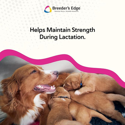 Breeder’s Edge Oral Cal Plus Powder, Calcium & Vitamin D₃ Whelping Supplement for Nursing Dogs and Cats, Supports Healthy Bones, Teeth & Lactation, 1kg