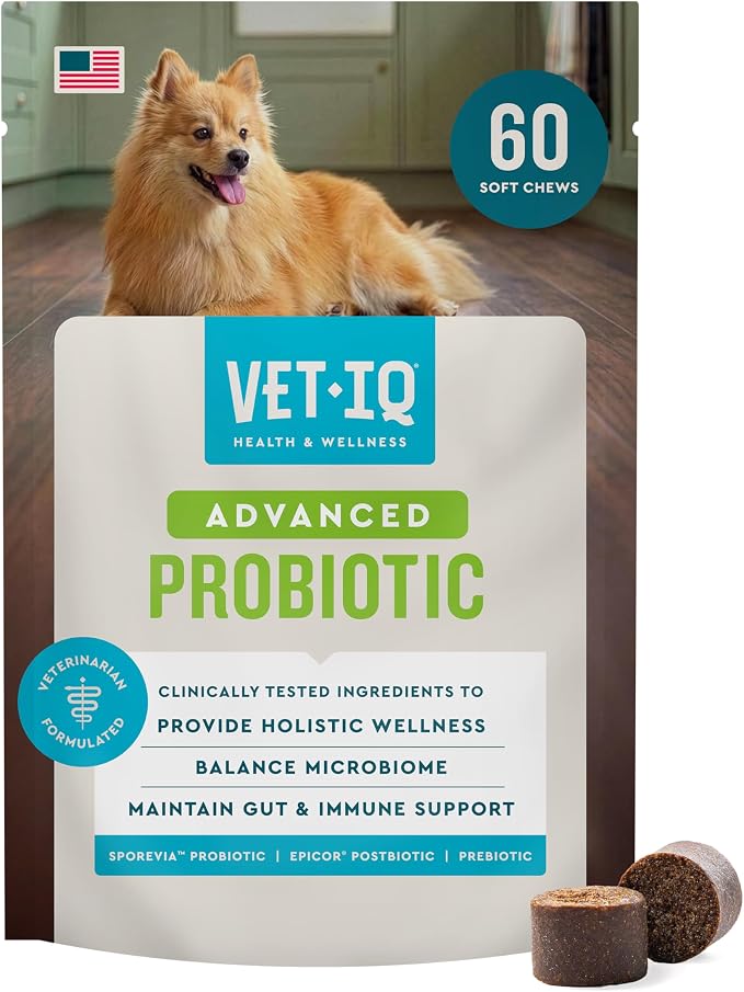 VetIQ Advanced Probiotic Supplement for Dogs, Gut Health, Digestive Enzymes, Prebiotics & Probiotics for Dogs with Sensitive Stomach, Gas & Diarrhea, 90 Count