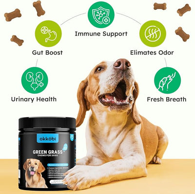 Dog Urine Neutralizer for Lawn - 150 Chews - Advanced Green Grass Dog Chews - Canine Pee Grass Saver - Green Lawn Treats with Natural Ingredients & Digestive Enzymes - Chicken