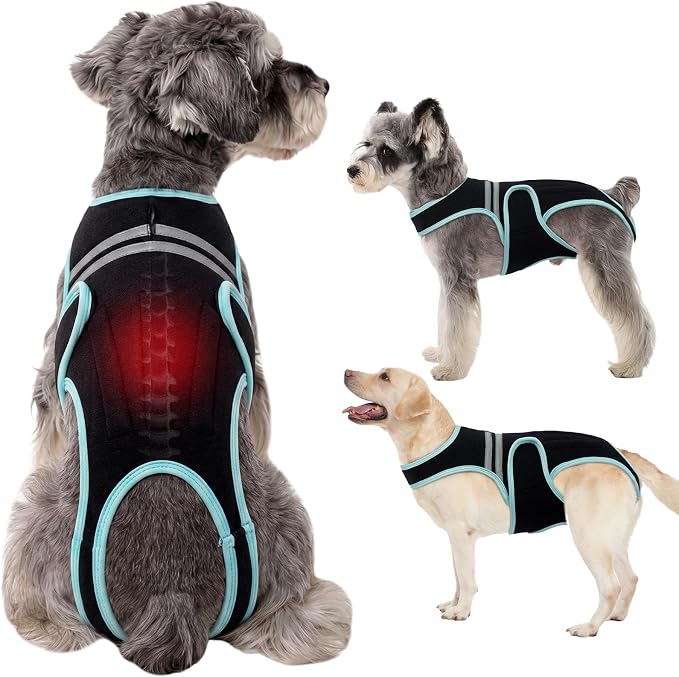 Dog Back Brace, Breathable Dog Post-Surgery Vest for IVDD, Arthritis & Spine Support, Adjustable Reflective Pet Back Bracer Pain-Relieving Harness, Black XL