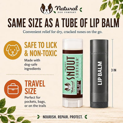 Natural Dog Company Snout Soother Dog Nose Balm, 0.15 oz Travel Stick | Moisturizer for Dry Crusty Noses, Coconut Oil & Shea Butter, Summer Care for Outdoor Dogs, Hot Weather & Beach Days