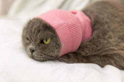 Soothing Cat Head Cover,Cat Ear Wrap Hematoma Compression Cats-Anxiety & Stress Relief - Ear Wrap for Cats Pink S