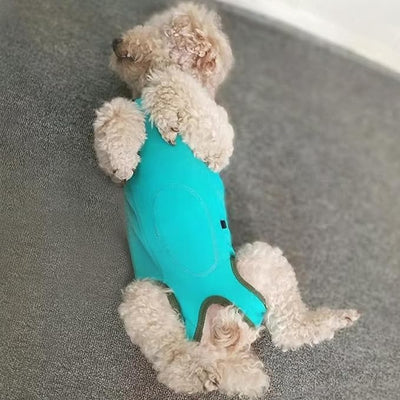 Dog's Recovery Suit Post Surgery Shirt for Puppy, Small Dog Surgical Recovery Suit for Female Male Dogs, Dog Onesie Protect Surgical Wound(Blue-XXS)