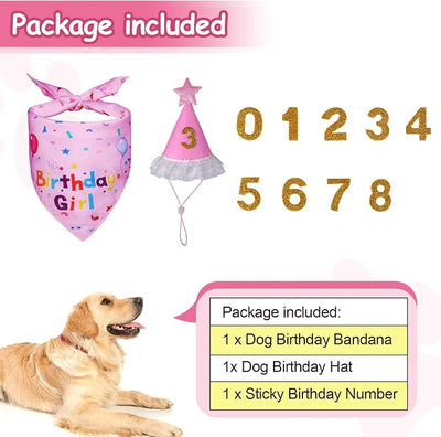 Dog Boy Girl Birthday Party Hat, Dog Birthday Party Supplies, Doggie Birthday Bandana Set with Numbers for Gaint and Extra Large Puppy (Pink)