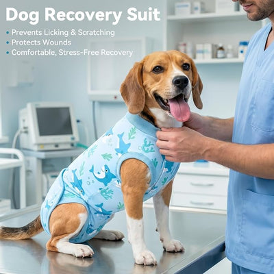 cyeollo Dog Surgery Recovery Suit, Soft Surgical Body Suits for Female Male Dog, Comfy Spay Neuter Onesie for Small Medium Dogs, E-Collar & Cone Alternative, Anti-Licking Wound Pet Clothes, Shark L