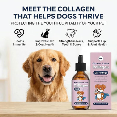 Bloom Collagen for Dogs,Bloom Triple Collagen for Dogs, Support for Skin, Coat, HIPS & Gut Health,2 fl.oz (2pcs)