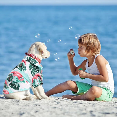 Weewooday 4 Pieces Small Pet Summer T-Shirts Hawaii Style Floral Pet Dog Shirt Breathable Cool Clothes Beach Seaside Puppy Sweatshirt for Puppy(Lovely Style,2X-Large)