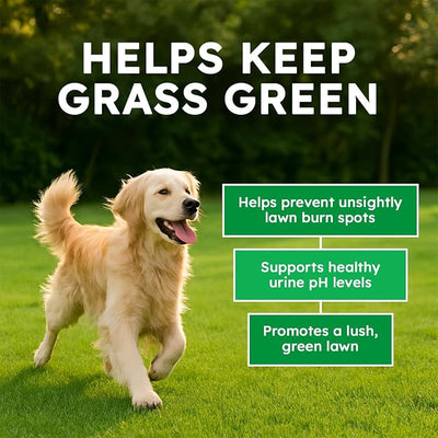 Dog Urine Neutralizer for Lawn - 150 Chews - Advanced Green Grass Dog Chews - Canine Pee Grass Saver - Green Lawn Treats with Natural Ingredients & Digestive Enzymes - Duck