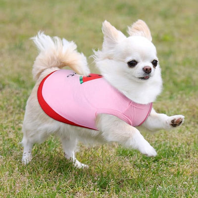Reginary 8 Pieces Dog Shirts Girl Small Dog Clothes for Chihuahuas Yorkies Female Puppy Shirts Printed Pet Outfit Cute Breathable Soft Valentine's Day Doggie Cat Lovers Gift(Cute Pattern,Size L)